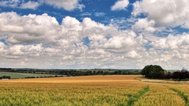 Fuente: Biblioteca de la Cámara de los Comunes