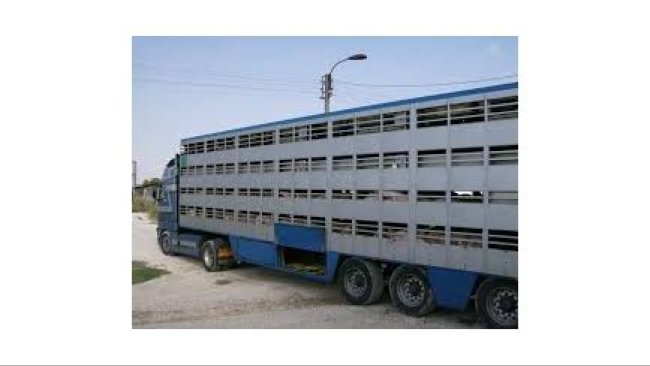 transport