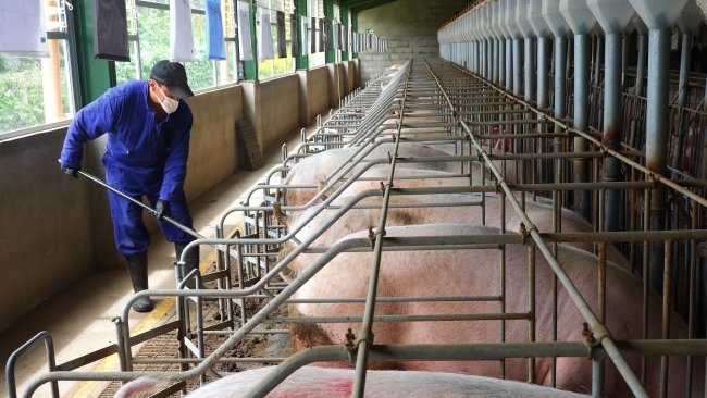 biogas