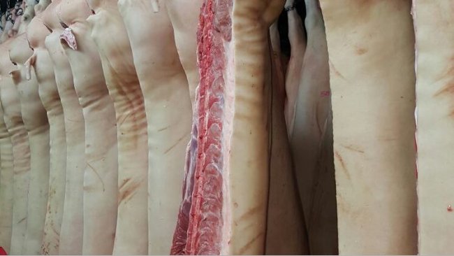 carne de cerdo