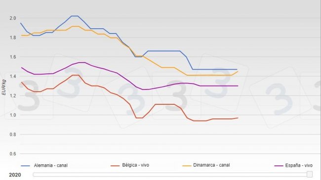 Evolución del precios del cerdo en varios países europeos de enero a agosto de 2020.