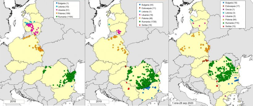 Mapa de focos declarados en cerdos dom&eacute;sticos en 2018, 2019 y 2020 (hasta 28 septiembre2020) (Fuente: MAPA a partir de datos de RASVE-ADNS)
