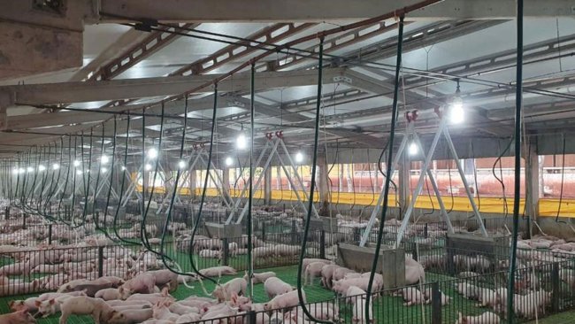 Instalación porcícola en la granja San Bernardo, en el municipio paraguayo de Naranjal (departamento de Alto Paraná, sureste del país).