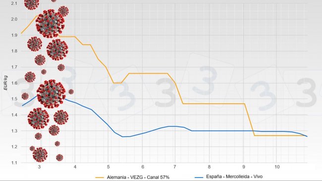 Evolución del precio de porcino tras el Covid (el precio de Alemania es en canal y el de España en vivo)