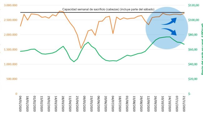 Gráfico 1. Sacrificios semanales bajo inspección federal, capacidad de sacrificio y precio del cerdo en EEUU en 2020. Fuente: USDA, NASS, Quickstats and Market News Service