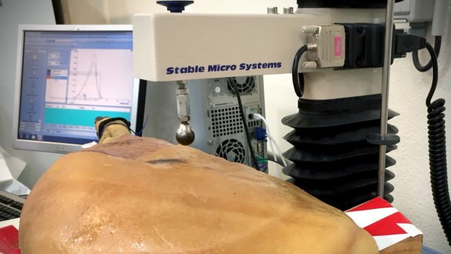 Instrumental texture Analisys on the Surface of the dry-cured ham (ITAS)