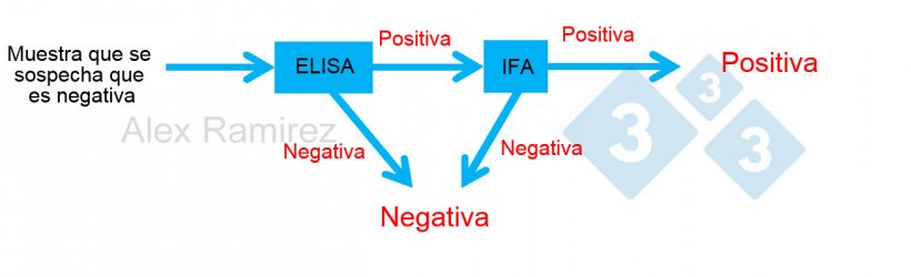 Diagrama que muestra el uso de PRRS IFA como prueba confirmatoria para muestras que salen inesperadamente positivas a PRRS mediante ELISA. Una muestra de la que se sospecha que es negativa y sale negativa a ELISA se considera negativa. Si esta muestra da positiva inesperadamente, se puede realizar una IFA de PRRS como prueba de confirmaci&oacute;n. Si la prueba IFA es positiva, se confirma que la muestra es positiva. Si la prueba de IFA es negativa, asumiremos que fue un falso positivo siempre que la PCR tambi&eacute;n sea negativa para confirmar que no hay infecci&oacute;n reciente.
