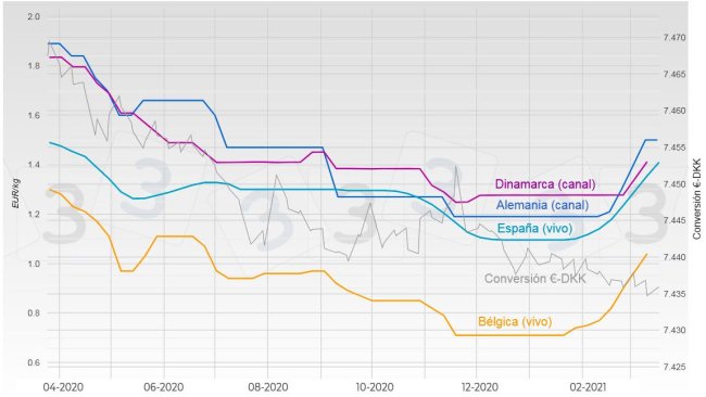Gráfica 1. Evolución del precio del cerdo en Alemania, España, Dinamarca y Bélgica.