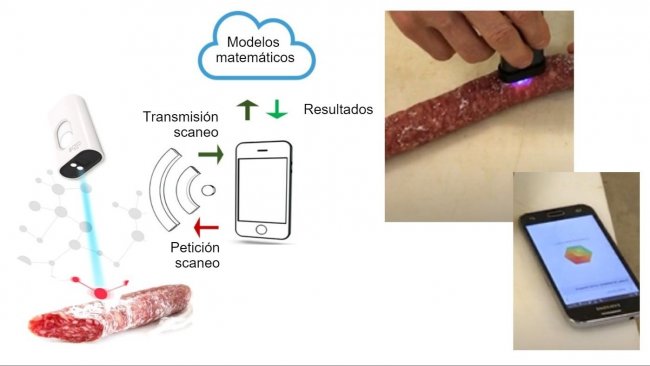 Figura 1. Esquema de predicci&oacute;n de par&aacute;metros f&iacute;sico-qu&iacute;micos de productos c&aacute;rnicos mediante el espectr&oacute;metro NIR SCiO (Consumer Physics, Inc. https://www.consumerphysics.com)
