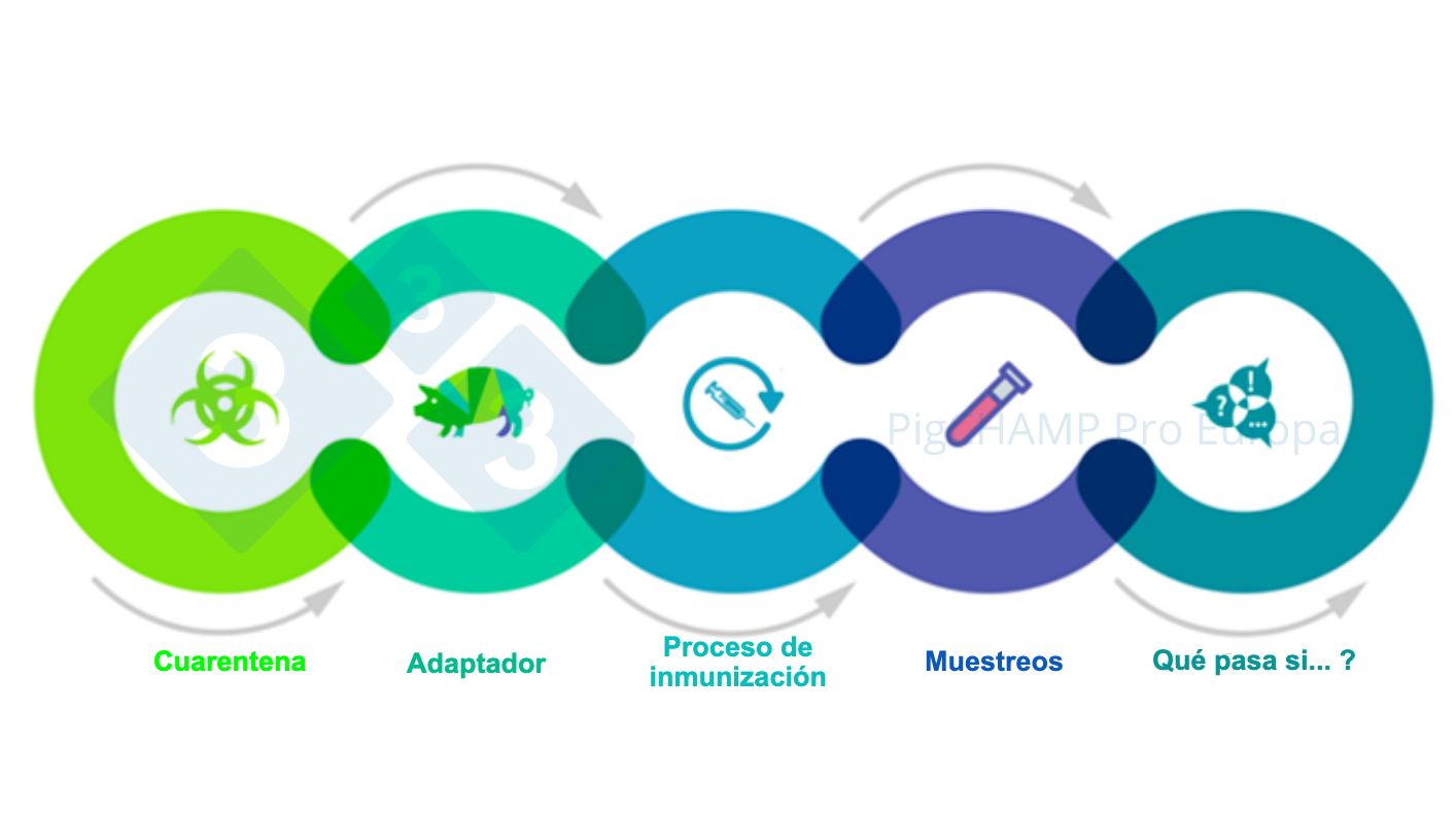 Figura 1. Aspectos claves interconectados que se deben de conocer antes de la visita.
