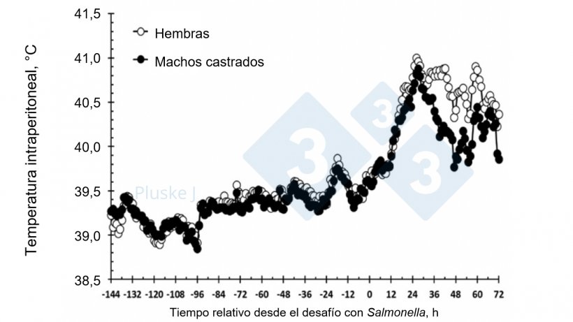 Figura 2. Efecto de ser una hembra o un macho castrado en la respuesta de la temperatura intraperitoneal a un desaf&iacute;o oral con Salmonella typhimurium. Hubo una interacci&oacute;n sexo-tiempo (P &lt; 0,001) en la que las hembra tubieron una mayor temperatura que los cerdos castrados entre las 36-63 y a las 72 h tras el desaf&iacute;o (Burdick Sanchez et al., 2017).

