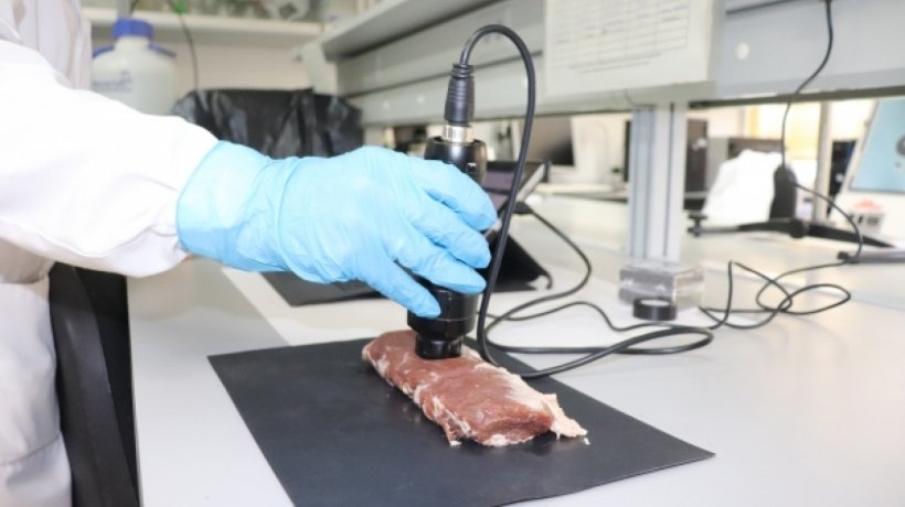 Desarrollan una herramienta digital para la autentificaci&oacute;n de productos de cerdo ib&eacute;rico
