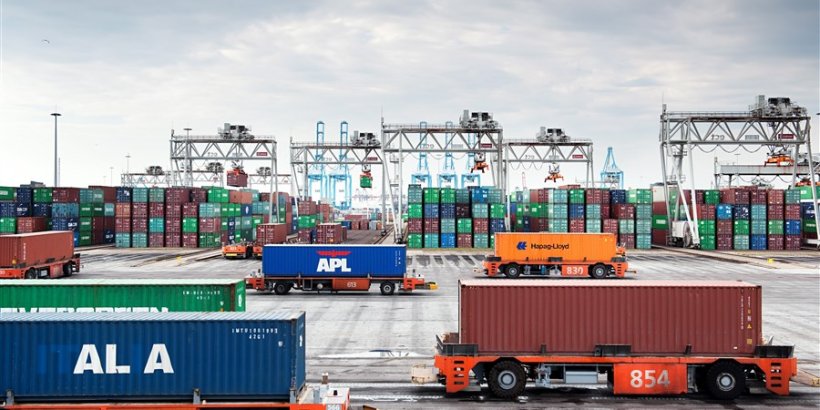 comercio carne cerdo