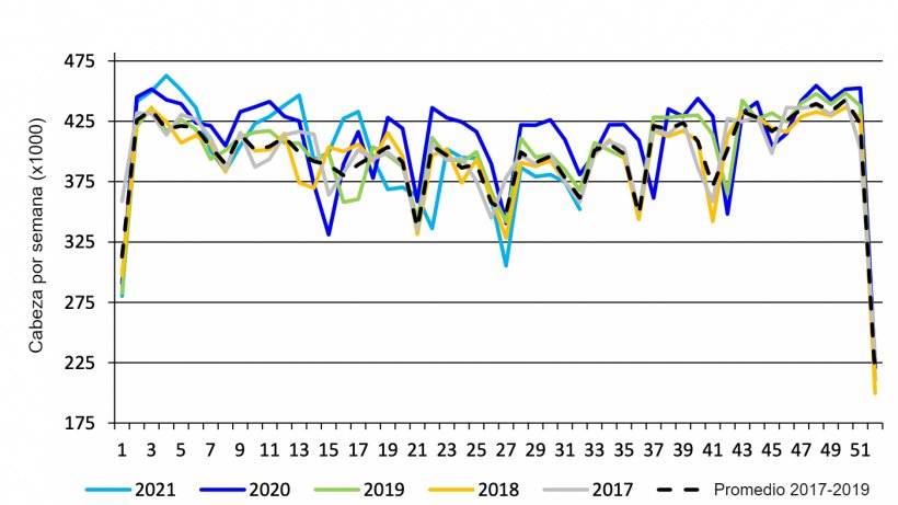 Sacrificio porcino semanal en el mercado federal canadiense. Fuente: USDA from&nbsp;Agriculture and Agri-Food Canada.
