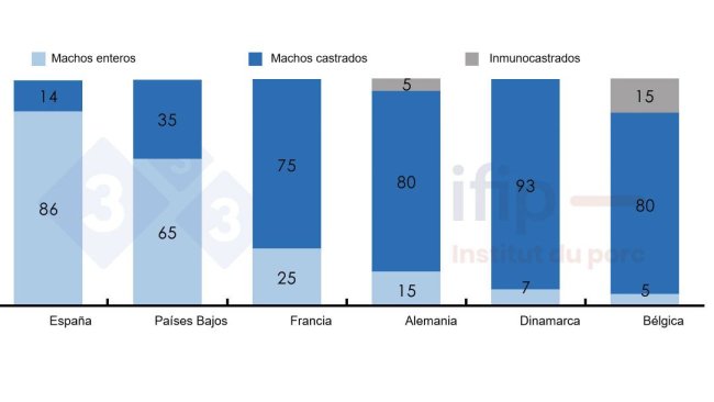 Porcentajes del sacrificio de cerdos según machos enteros, castrados o inmunocastrados.
