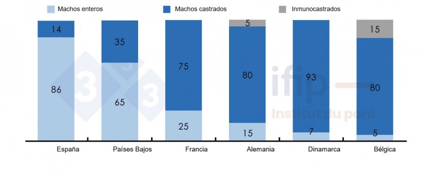 Porcentajes del sacrificio de cerdos seg&uacute;n machos enteros, castrados o inmunocastrados.
