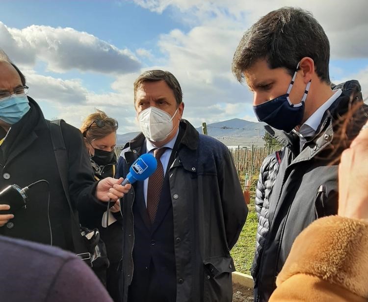 agricultura del carbono