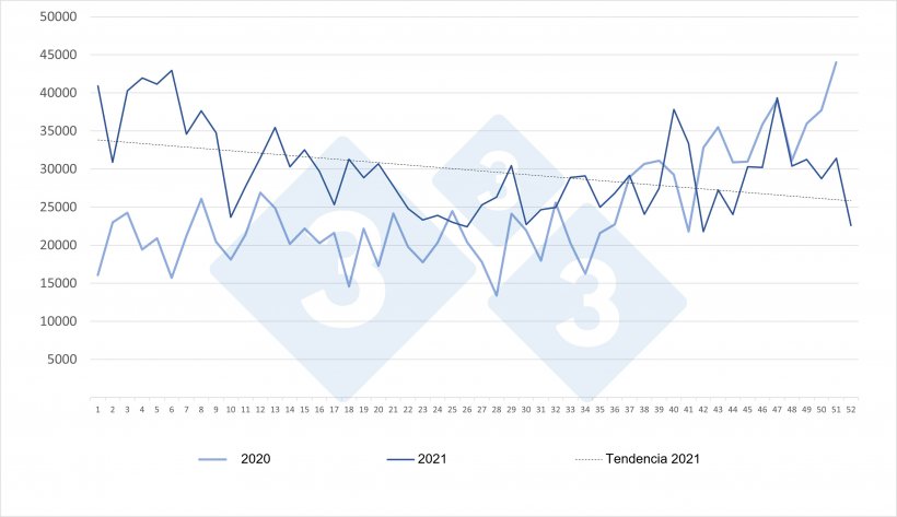 Evolución de las importaciones semanales españolas de lechones neerlandeses para los años 2020 y 2021.Fuente: 333 a partir de datos de RVO.