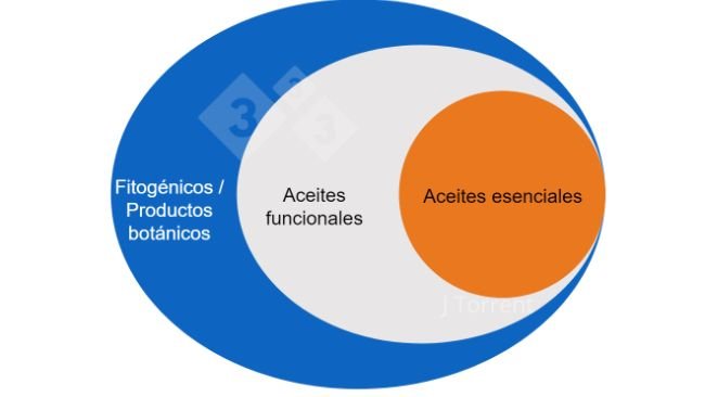 Figura 1.&nbsp;Ilustraci&oacute;n de la terminolog&iacute;a utilizada para describir los aceites esenciales, los aceites funcionales y los productos bot&aacute;nicos o fitog&eacute;nicos.
