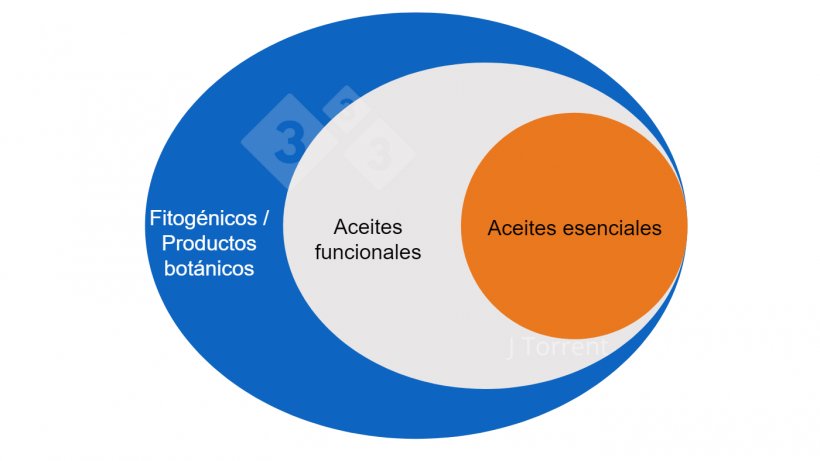 Figura 1.&nbsp;Ilustraci&oacute;n de la terminolog&iacute;a utilizada para describir los aceites esenciales, los aceites funcionales y los productos bot&aacute;nicos o fitog&eacute;nicos.
