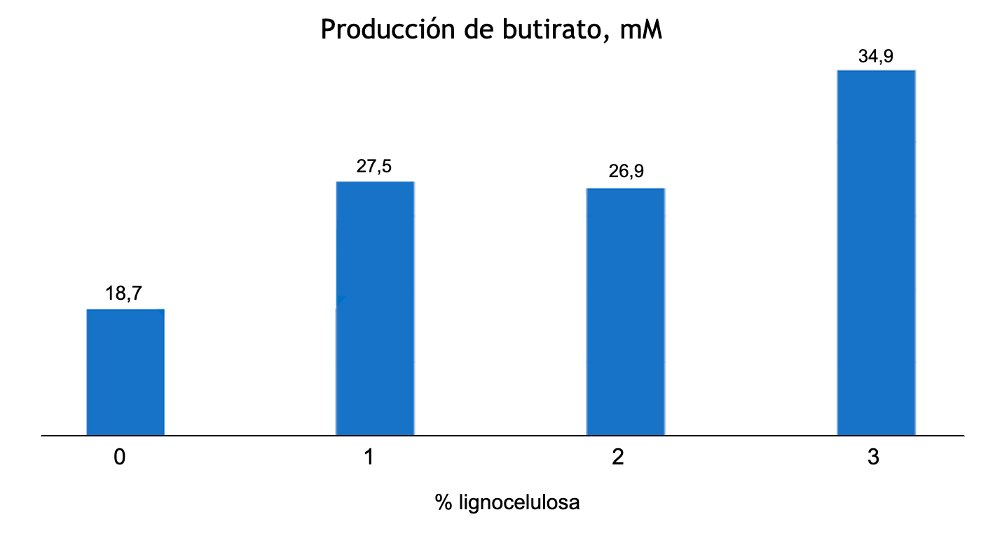 Figura 1. Efecto dosis dependiente de la inclusi&oacute;n de lignocelulosa sobre la producci&oacute;n de butirato (mM) en lechones destetados a 63d de vida (Adaptado de Silva-Guillen et al., 2022) P=0,001 SEM= 1,810
