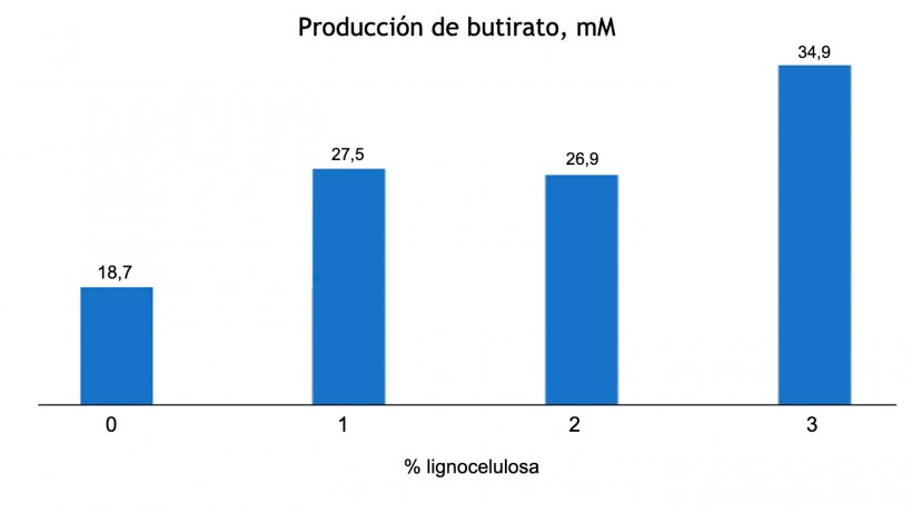 Figura 1. Efecto dosis dependiente de la inclusi&oacute;n de lignocelulosa sobre la producci&oacute;n de butirato (mM) en lechones destetados a 63d de vida (Adaptado de Silva-Guillen et al., 2022) P=0,001 SEM= 1,810
