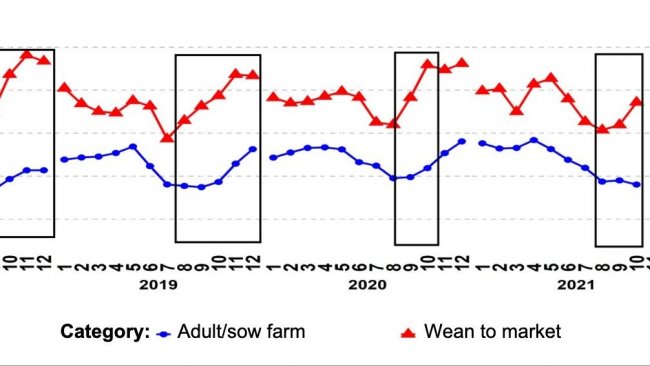 Gr&aacute;fico 1. Porcentaje de muestras PCR positivas para las categor&iacute;as de&nbsp;reproductores y de cerdos de destete a venta.&nbsp;Los recuadros negros muestran los picos m&aacute;s acentuados y/o m&aacute;s tempranos en los datos de destete a venta&nbsp;en comparaci&oacute;n con los de las explotaciones de reproductores/cerdas.&nbsp;Fuente:&nbsp;ISU-VDL: Iowa State University Veterinary and Diagnostic Laboratory; UMN-VDL: University of Minnesota Veterinary and Diagnostic Laboratory; SDSU-ADRDL; South Dakota State University Animal Disease Research and Diagnostic Laboratory; KSU-VDL: Kansas State University Veterinary and Diagnostic Laboratory; OH-ADDL: Ohio Animal Disease and Diagnostic Laboratory.
