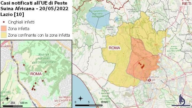 Casos de PPA en jabalíes notificados en Roma a 20/05/2022. Fuente: IZSUM