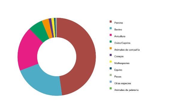 Producción de piensos por especies en España en 2020 (t). Fuente: MAPA.
