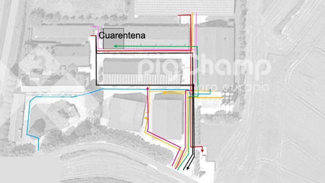 Imagen 1. Rutas de movimiento, de partida
