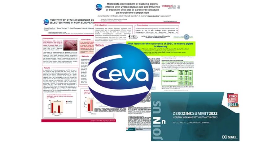 Posters de Ceva en el ZnO Zero Summit