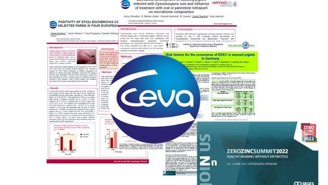 Posters de Ceva en el ZnO Zero Summit