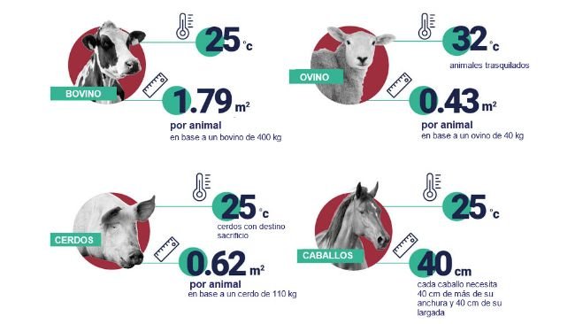 Espacio y temperaturas recomendados por animal. Fuente: EFSA.