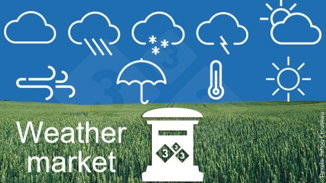weather market