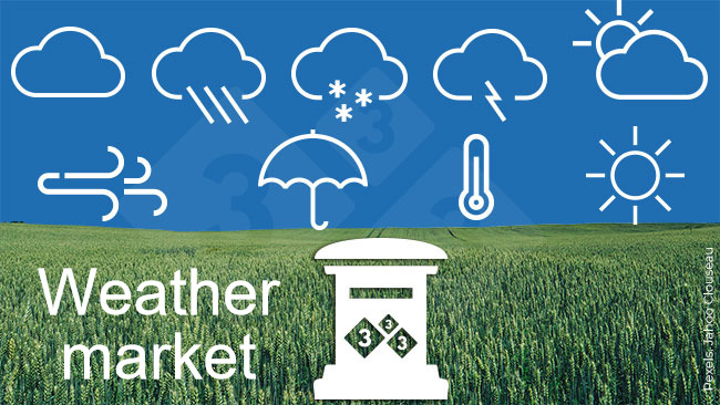 weather market