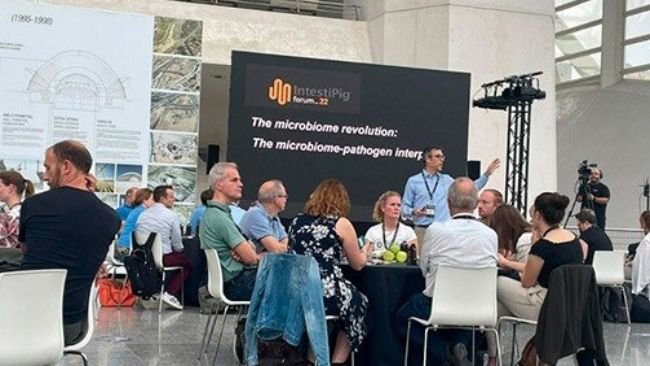 IntestiPig forum 2022 en Valencia