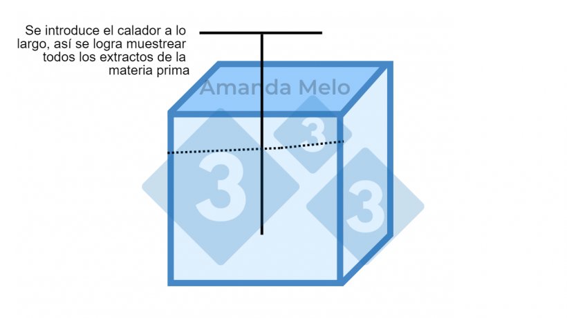 Figura 2: Esquema de puntos de muestreo en big bag con calador largo tipo sonda.

