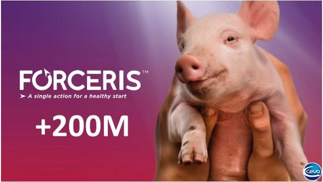 Forceris