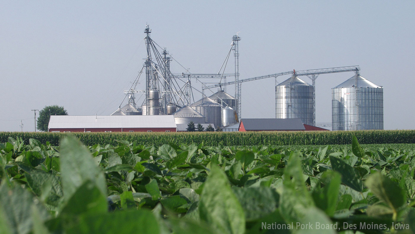 Soja Bolsa De Cereales De Rosario Comienza El Año, Persiste La