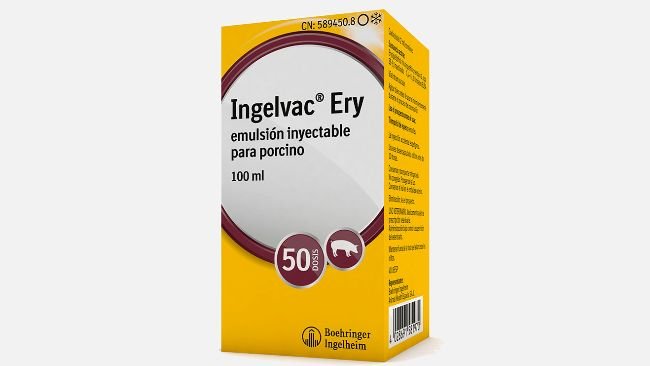Boehringer Ingelheim Animal Health España presenta una nueva solución que proporciona una respuesta inmune sólida y duradera frente al Mal Rojo: Ingelvac Ery®