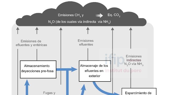 Esquema del per&iacute;metro de c&aacute;lculo de la calculadora (en gris). Fuente: IFIP.
