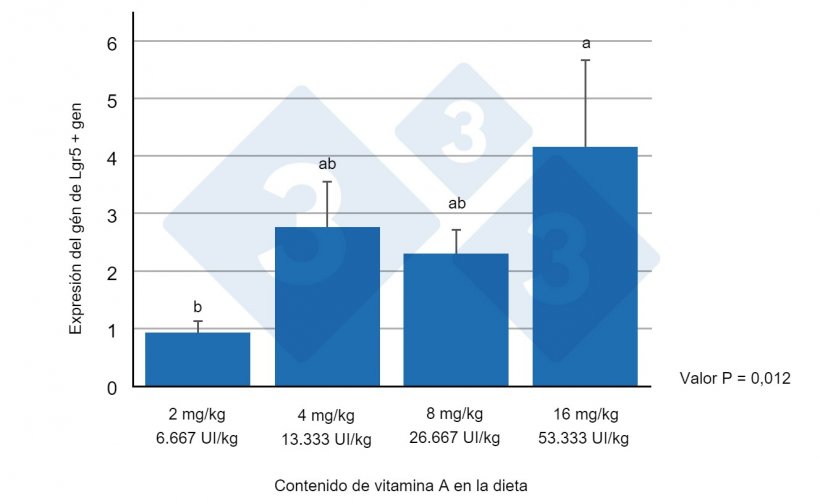 Figura 1. Expresi&oacute;n del gen Lgr5+ en yeyuno de lechones destetados, alimentados con distintos niveles de vitamina A. Diferentes letras indican diferencias estad&iacute;sticamente significativas (p&lt;0,05). Fuente: Wang y col. (2020)
