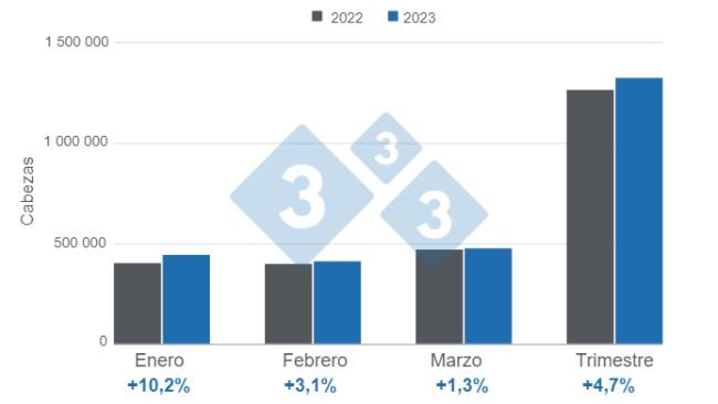 Gráfico 1. Beneficio de porcinos en Colombia al primer trimestre de 2023. Elaborado por el Departamento de Economía e Inteligencia de Mercados con datos del DANE. 
