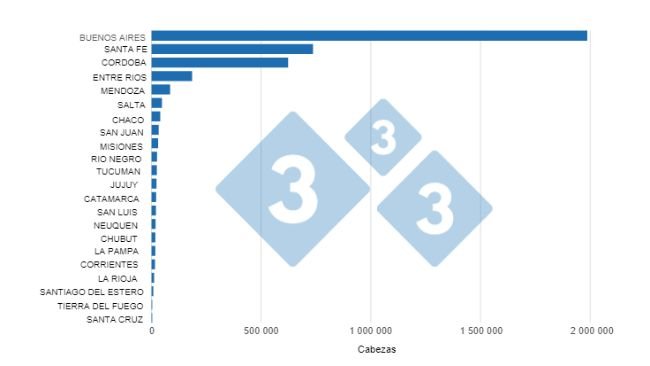 Gráfico 1. Sacrificio de cerdos acumulado en el primer semestre por provincia. Elaborado por 333 con datos de la Secretaría de Agricultura, Ganadería y Pesca del Ministerio de Economía de Argentina 