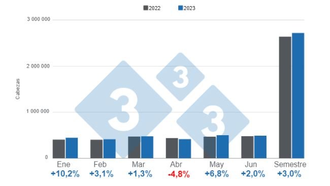 Gráfico 1. Sacrificio de cerdos por meses en el primer semestre de 2023. Elaborado por el 333 con datos del DANE. 
