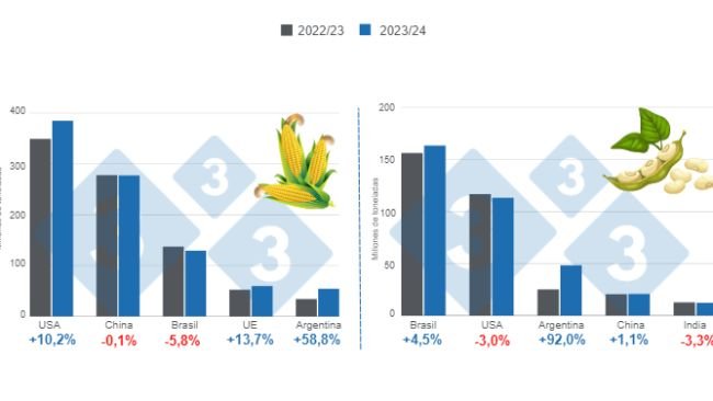 Gráfico 1. Previsión de cosecha para los principales productores mundiales de maíz y soja - campaña 2023/24 versus 2022/23. Elaborado por 333 con datos de FAS – USDA. 
