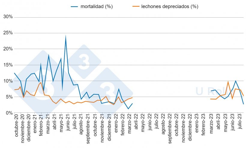 Fig. 5: Mortalidad (%) y proporci&oacute;n de lechones de segunda categor&iacute;a&nbsp;en los destetes antes (octubre 2020 a marzo 2022) y despu&eacute;s (marzo a julio 2023) de la despoblaci&oacute;n/repoblaci&oacute;n.
