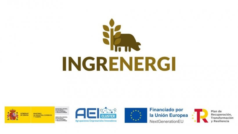 Aprobado el proyecto INGRENERGI II. Optimización de la herramienta para el cálculo predictivo de la energía en ingredientes para pienso de porcino