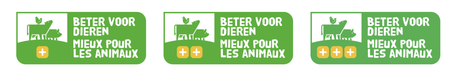 Nuova etichetta belga sul benessere degli animali – Notizie