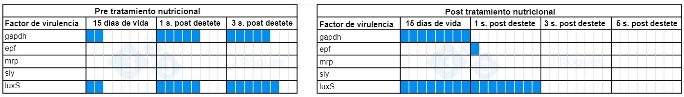Tabla 1. Evoluci&oacute;n de los factores de virulencia detectados en Streptococcus suis tras la incorporaci&oacute;n de AGCC y AGCM.
